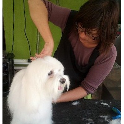 136 Antonia Gil Paya PC